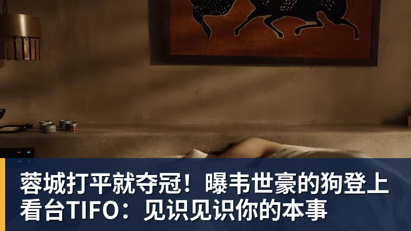 蓉城打平就夺冠！曝韦世豪的狗登上看台TIFO：见识见识你的本事